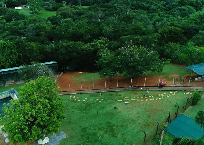 Parque Hotel Pimonte